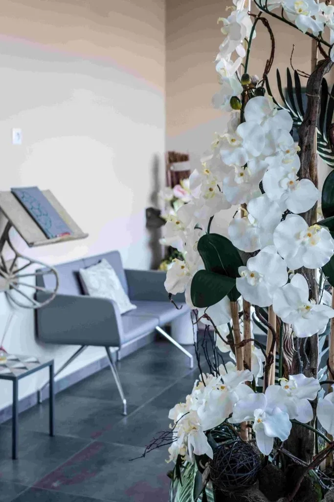 Orchidées blanches en décoration dans un salon d'accueil.